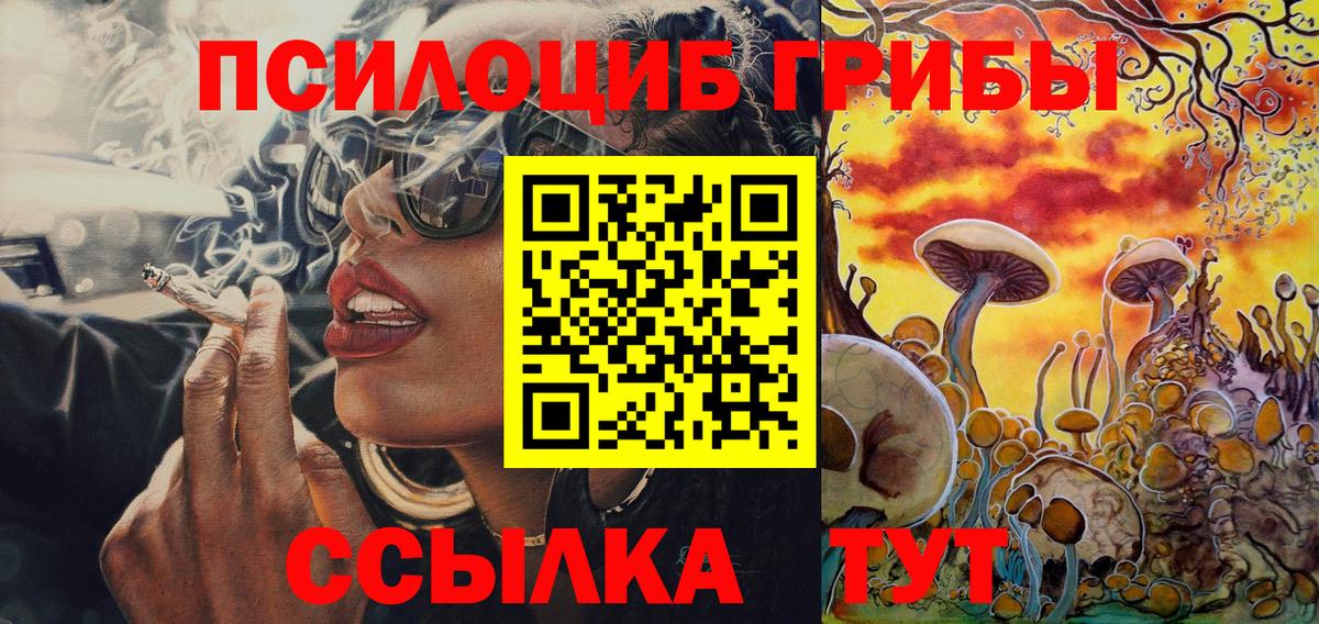 Александров  Псилоцибиновые грибы ЛСД  Вход с VPN 