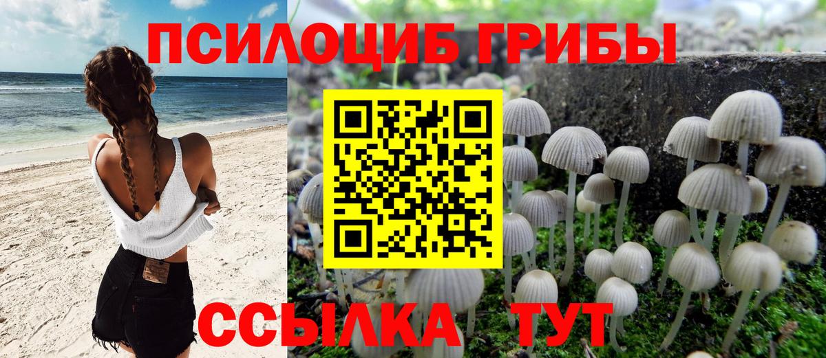 Псилоцибиновые грибы мицелий Александров