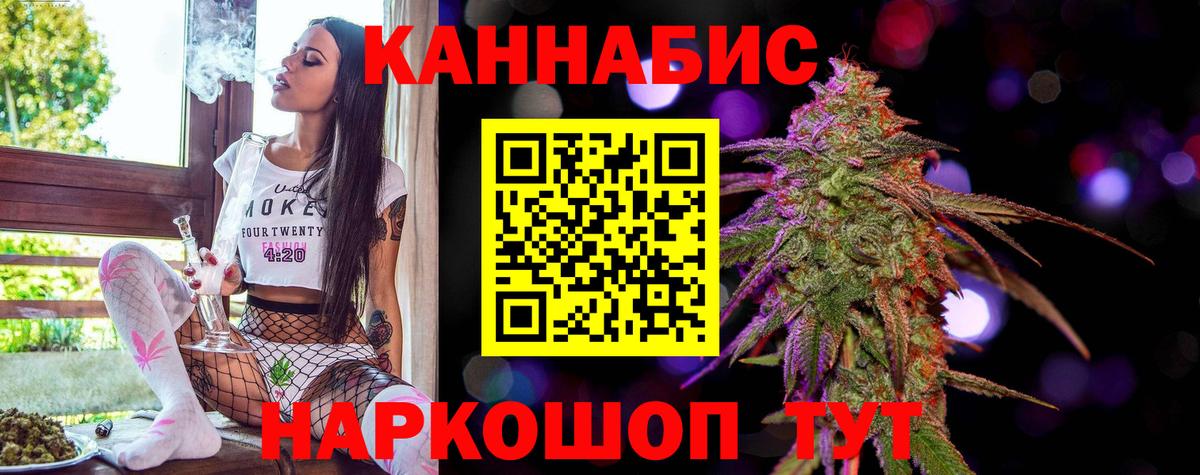 Бошки Шишки планчик Александров
